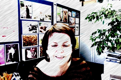 Foto2