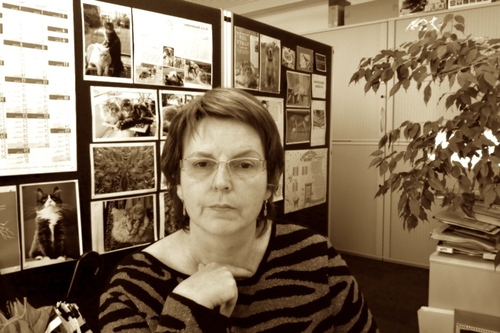 Foto4