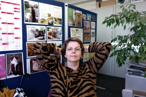 Foto_10