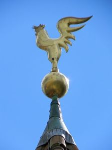 Wetterhahn 008