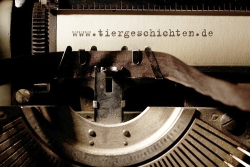 Schreibmasch-TG