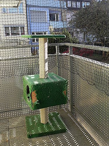 Kratzbaum-Balk 004